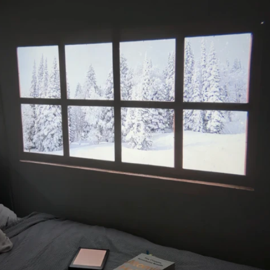 FantasyCast Projector